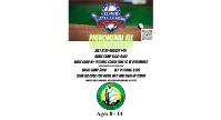 Phenomenal Softball Camp